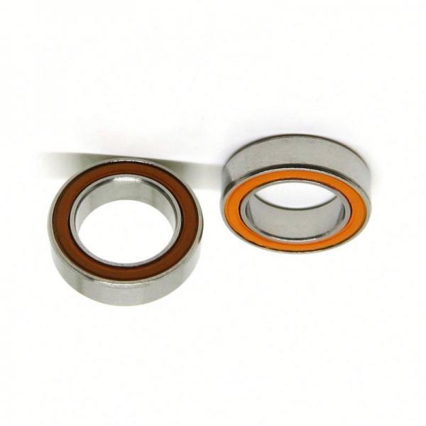 Ceramic Bearing High Temperature and Corrosion Resistant 6204ce #1 image